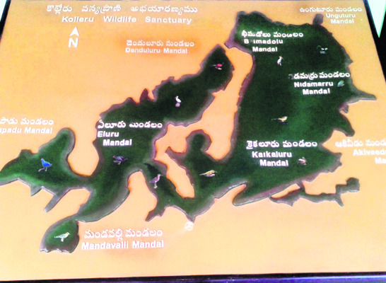 కొలిక్కిరాని కొల్లేరు హద్దులు 2