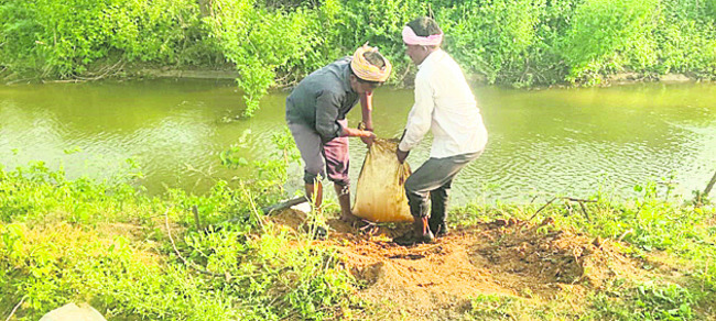 కోతకు వచ్చిన పొలాలకు నీళ్లు!3