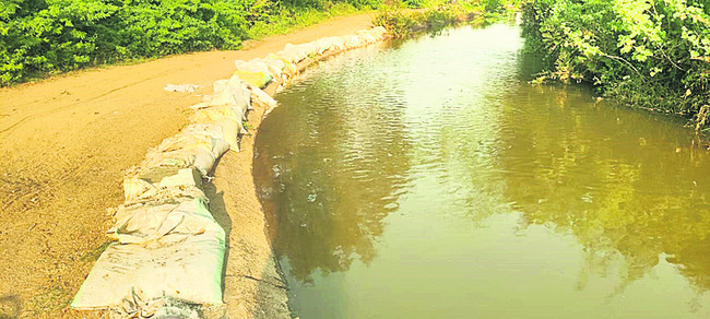 కోతకు వచ్చిన పొలాలకు నీళ్లు!1