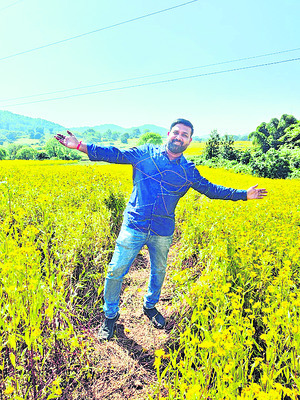 చిక్కుముడి వీడేదెలా..? 1