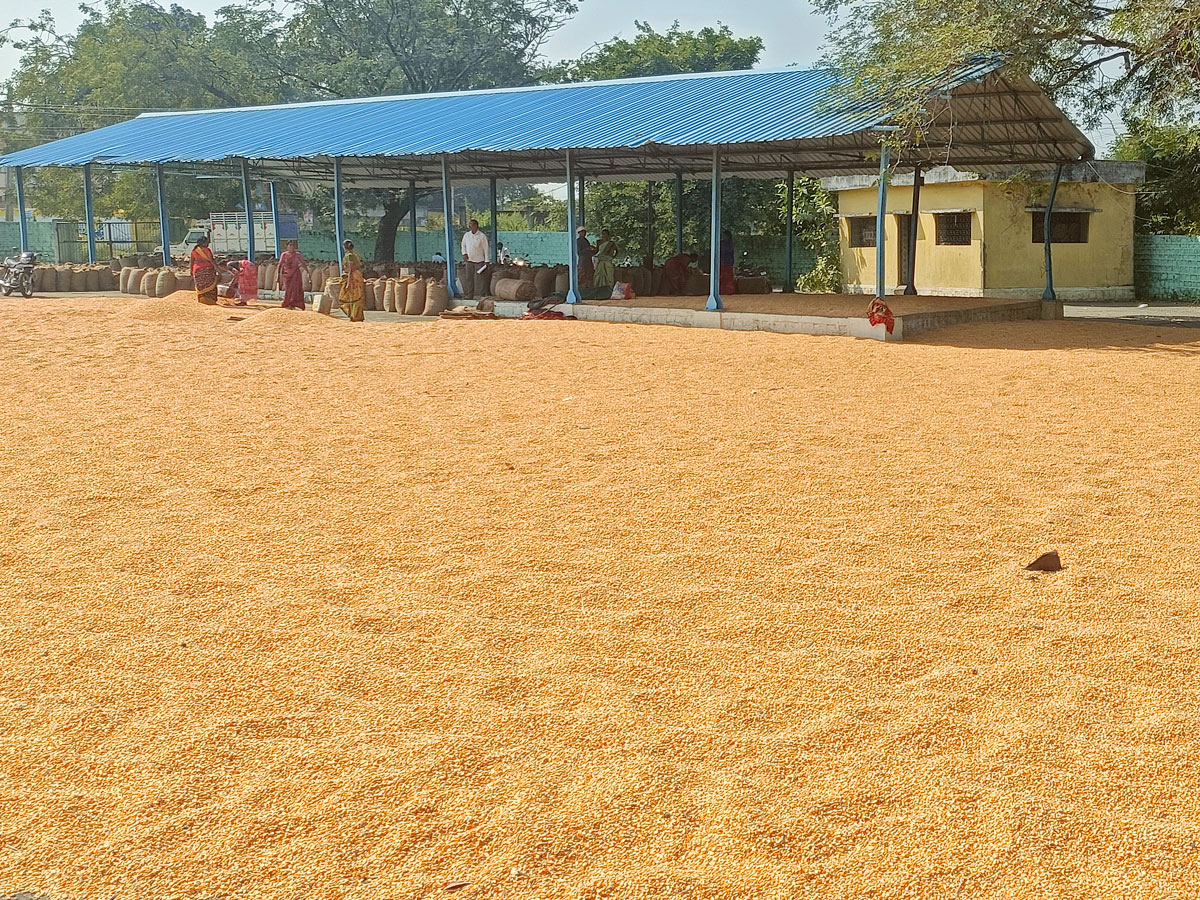 Best Photos of The Week in AP and Telangana Photo Gallery2