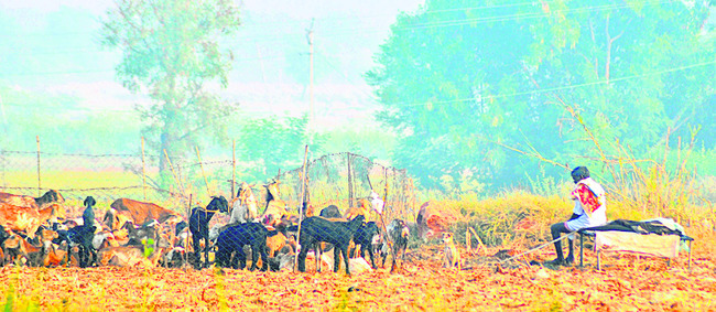 చలిగింతలు! 6