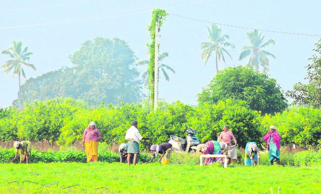 చలిగింతలు! 4
