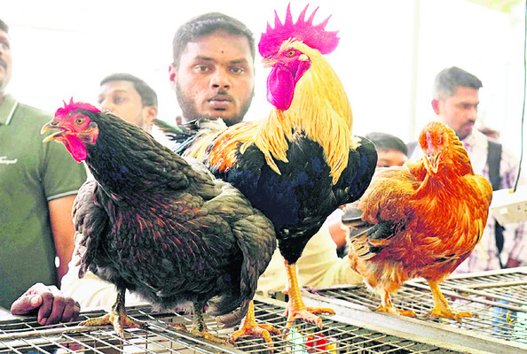 రైతు మేళా జనసాగరం2