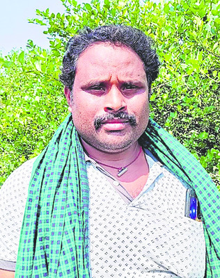 నిమ్మదించింది5