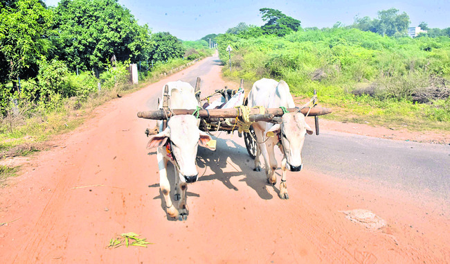 నిర్మల్‌2