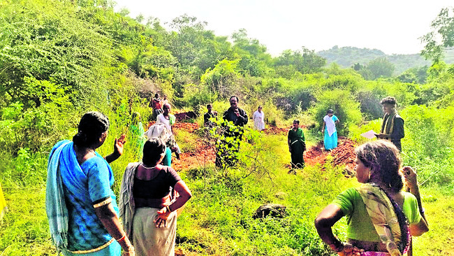 ప్రతి ఒక్కరూ మొక్కలు నాటాలి 1