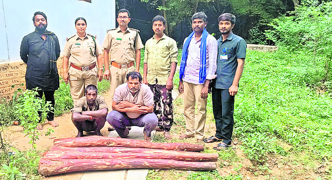 శ్రీసిటీకి భారీగా పెట్టుబడులు 1