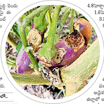 విజయవాడ సిటీ2