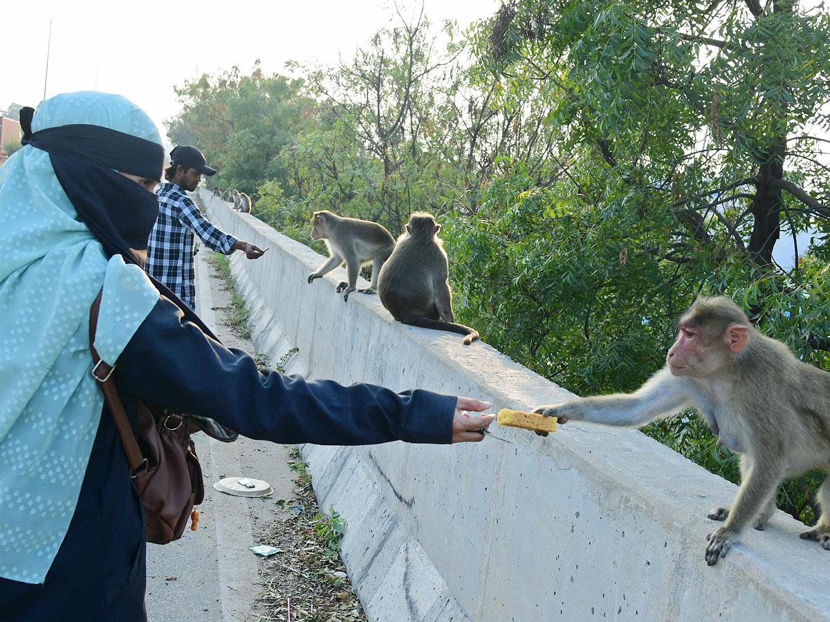 Best Photos of The Week in AP and Telangana Photo Gallery5