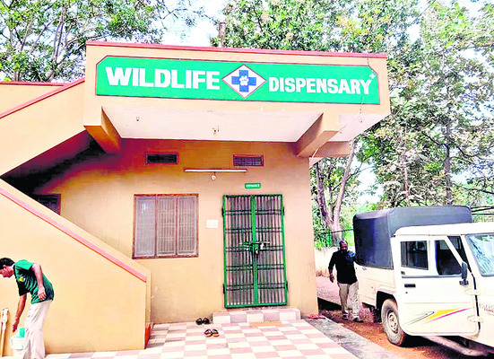 జనానికి జ్వరమొచ్చినా.. ప్రమాదం జరిగినా వెంటనే ఆసుపత్రిక2