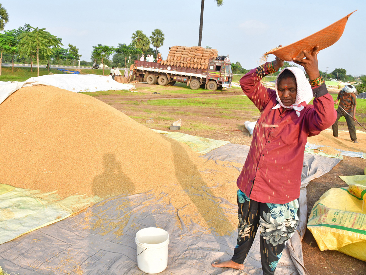Best Photos of The Week in AP and Telangana Photo Gallery17