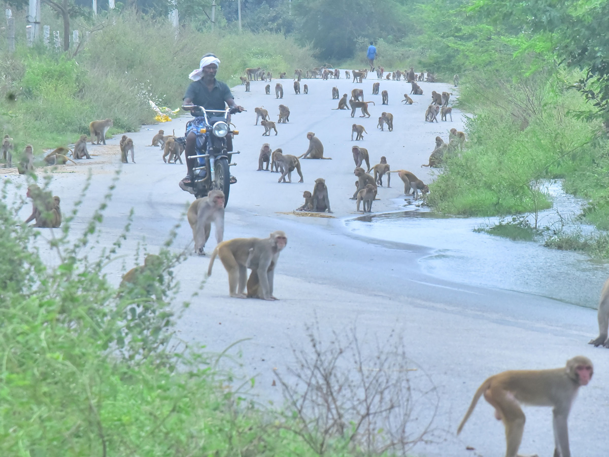 Best Photos of The Week in AP and Telangana Photo Gallery26