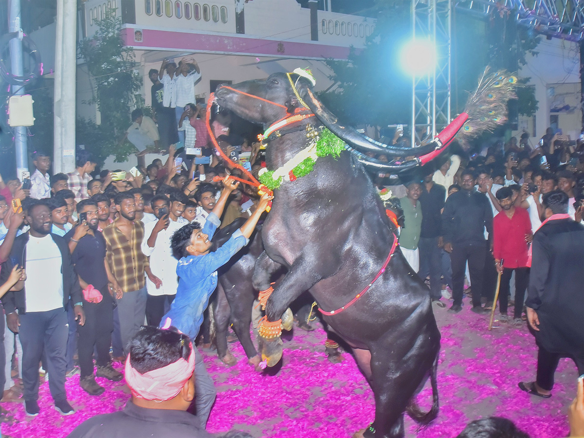 Best Photos of The Week in AP and Telangana Photo Gallery27