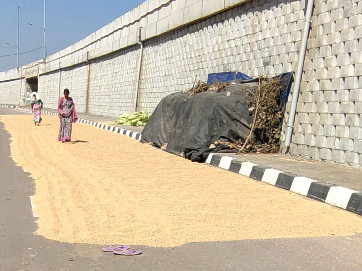 Best Photos of The Week in AP and Telangana Photo Gallery34