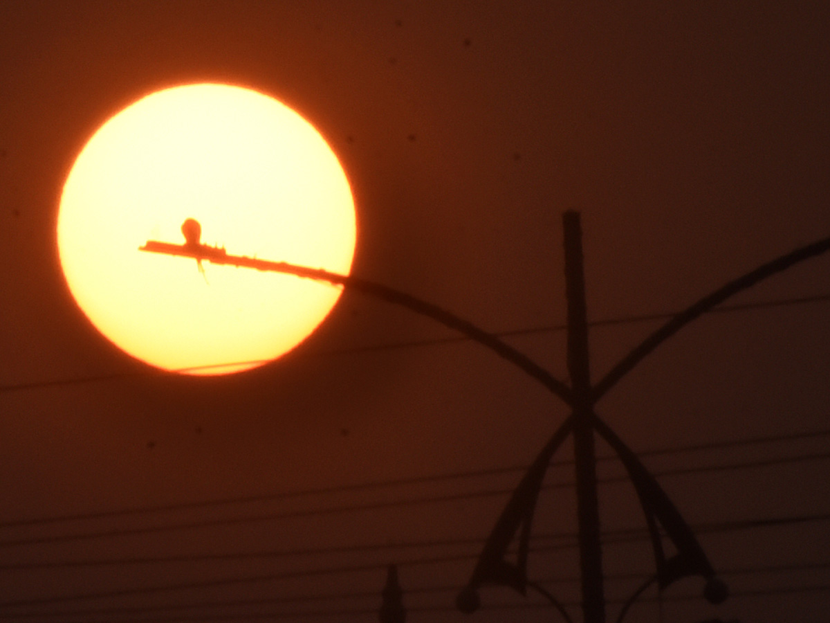 Best Photos of The Week in AP and Telangana Photo Gallery42