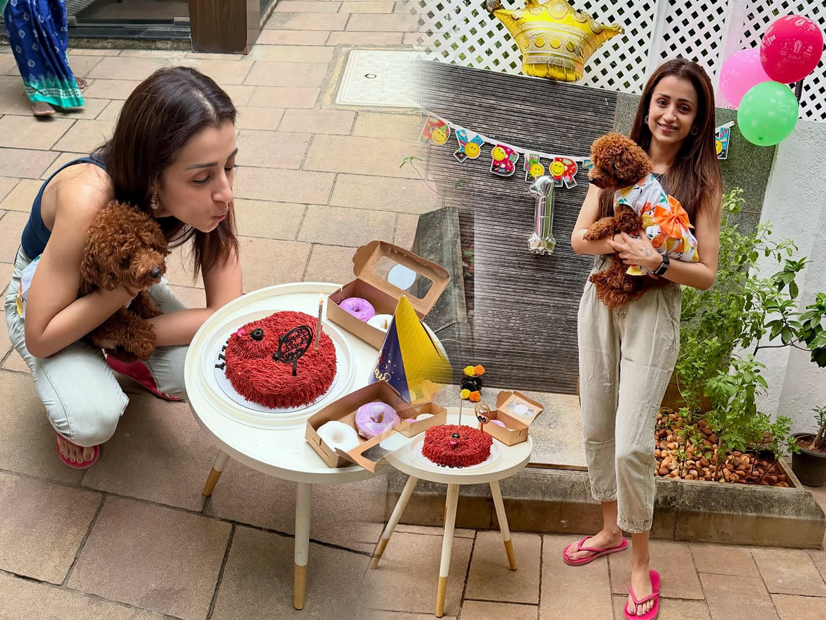 Trisha Hungama on Pet Birthday (Photos)1