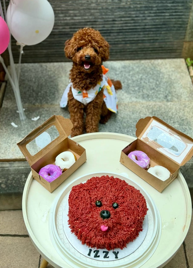 Trisha Hungama on Pet Birthday (Photos)2