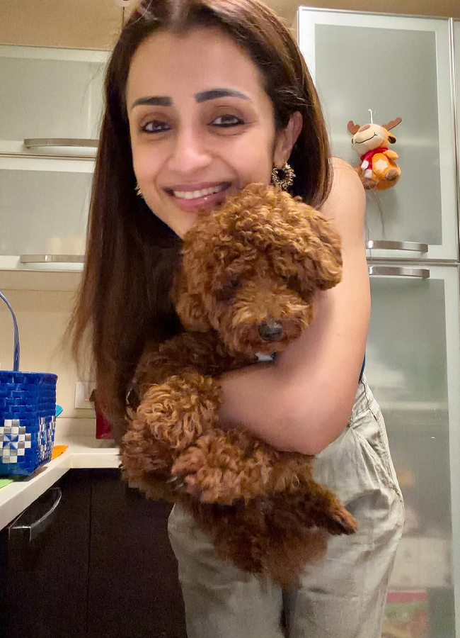 Trisha Hungama on Pet Birthday (Photos)11