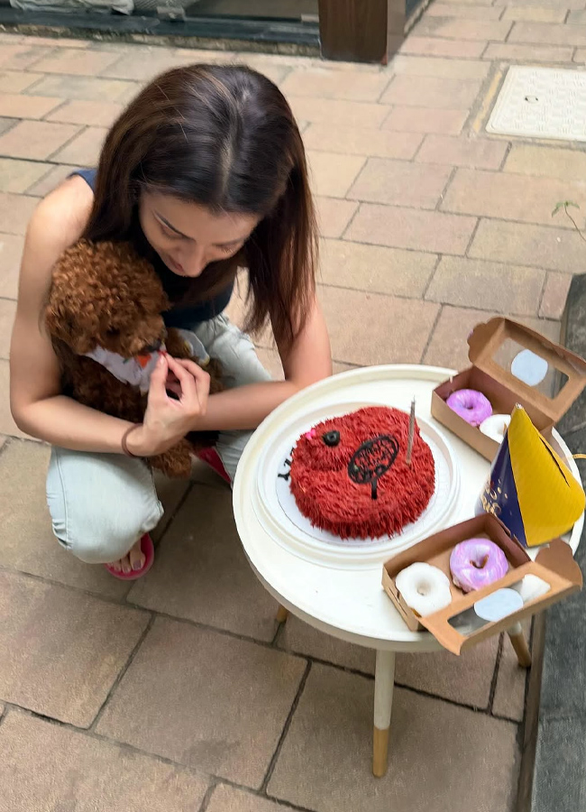 Trisha Hungama on Pet Birthday (Photos)6