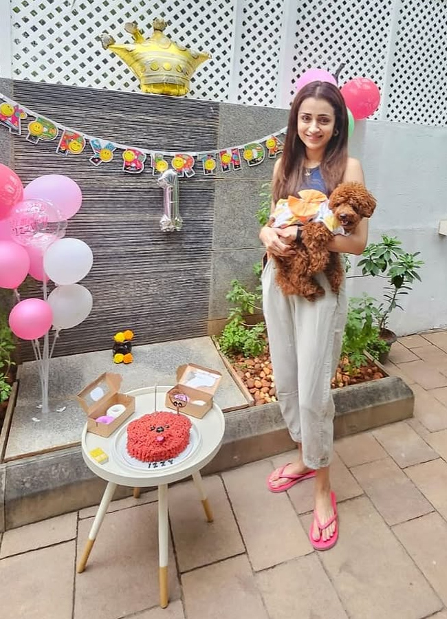 Trisha Hungama on Pet Birthday (Photos)9