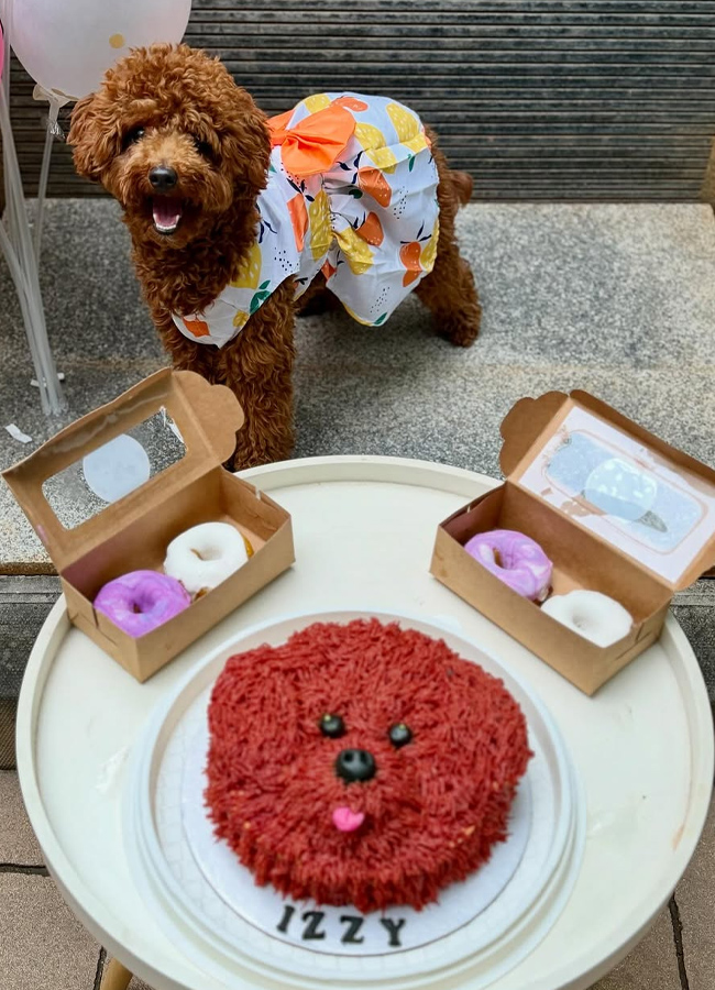 Trisha Hungama on Pet Birthday (Photos)10