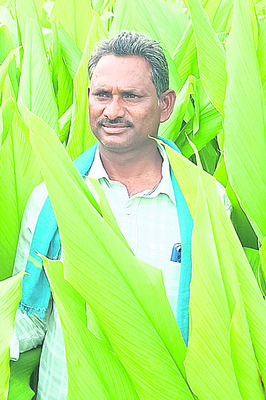 గోదాములో నిల్వ
5