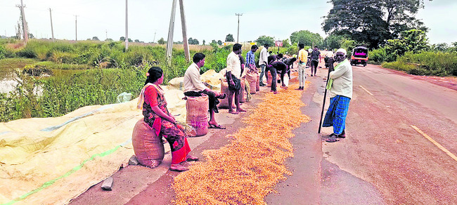 ఆరుగాలం కష్టించినా అన్నదాతకు కాలం కలిసిరావడం లేదు. ఓ వై1