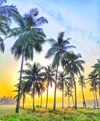 అందానికో.. మంచుతునక3