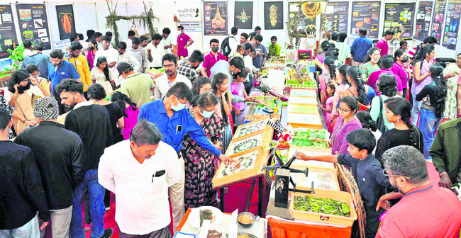 అన్నదాతకు ఆసరాగా కృషి మేళా1