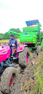 ఆరని పొలం తీరని నష్టం1