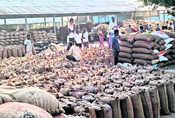 నేటి నుంచి పత్తి కొనుగోలు నిలిపివేత 
1