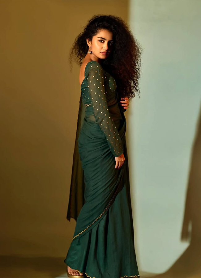 Tollywood Actress Anupama Parameswaran Latest Photos5