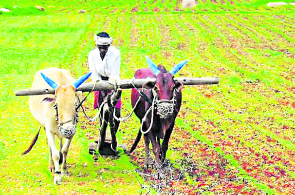 సహజ సిద్ధంగా.. 
6