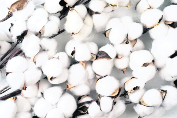 సహజ సిద్ధంగా.. 
2