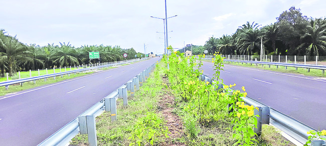 తొందారిగా సాగేందుకు..1