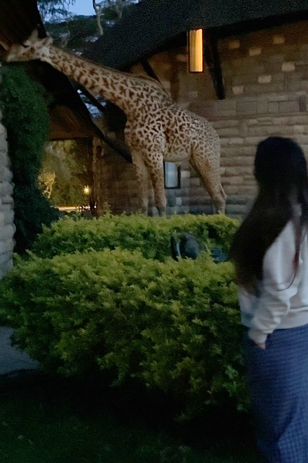 Anchor Anasuya family In Kenya Vacation Memories Photos16