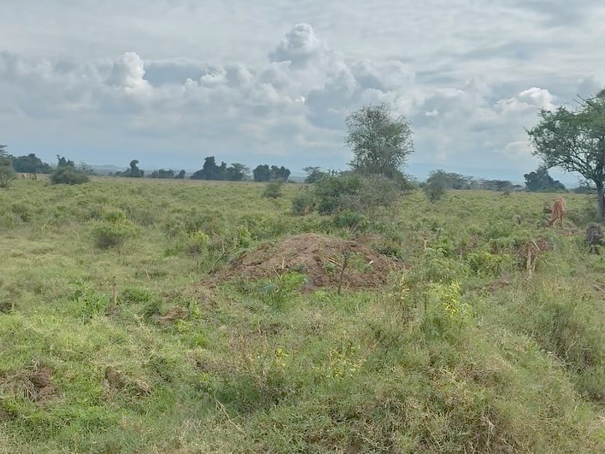 Anchor Anasuya family In Kenya Vacation Memories Photos8