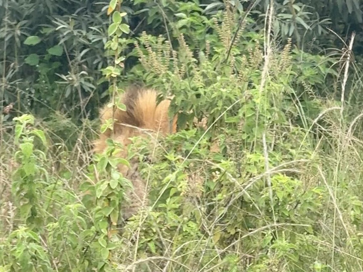 Anchor Anasuya family In Kenya Vacation Memories Photos9