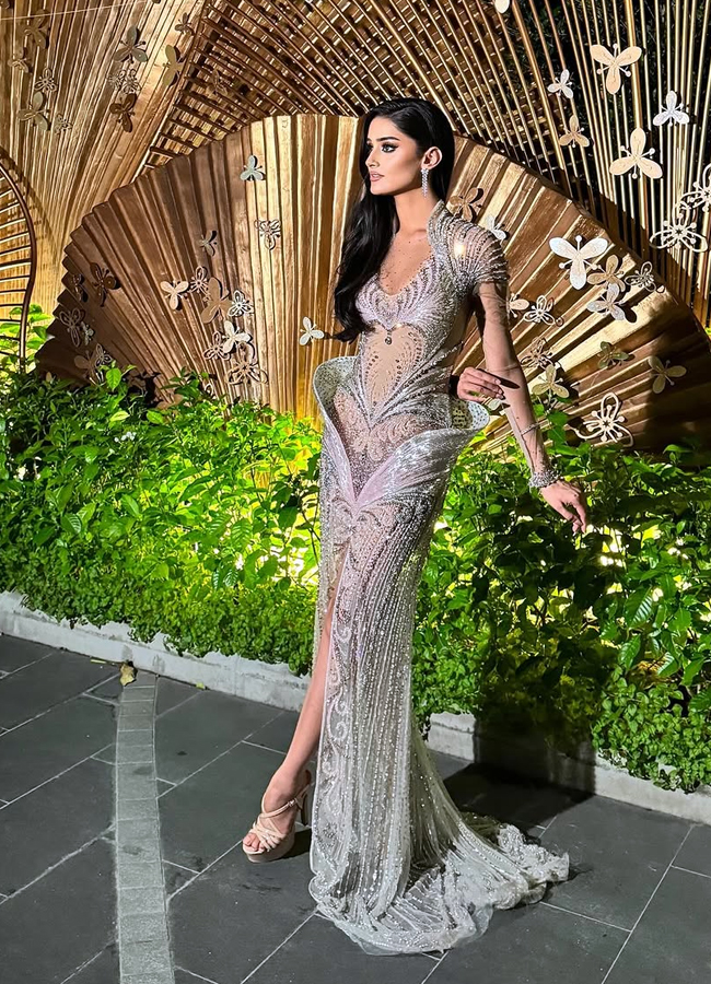 Miss Universe 2025: Manika Vishwakarma In A Sheer Gown3