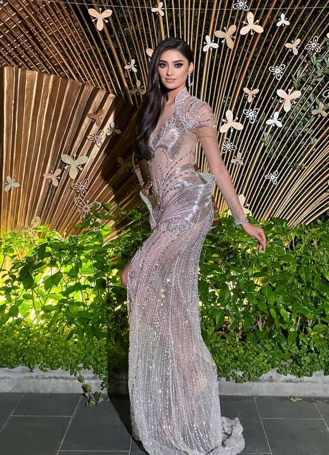 Miss Universe 2025: Manika Vishwakarma In A Sheer Gown4