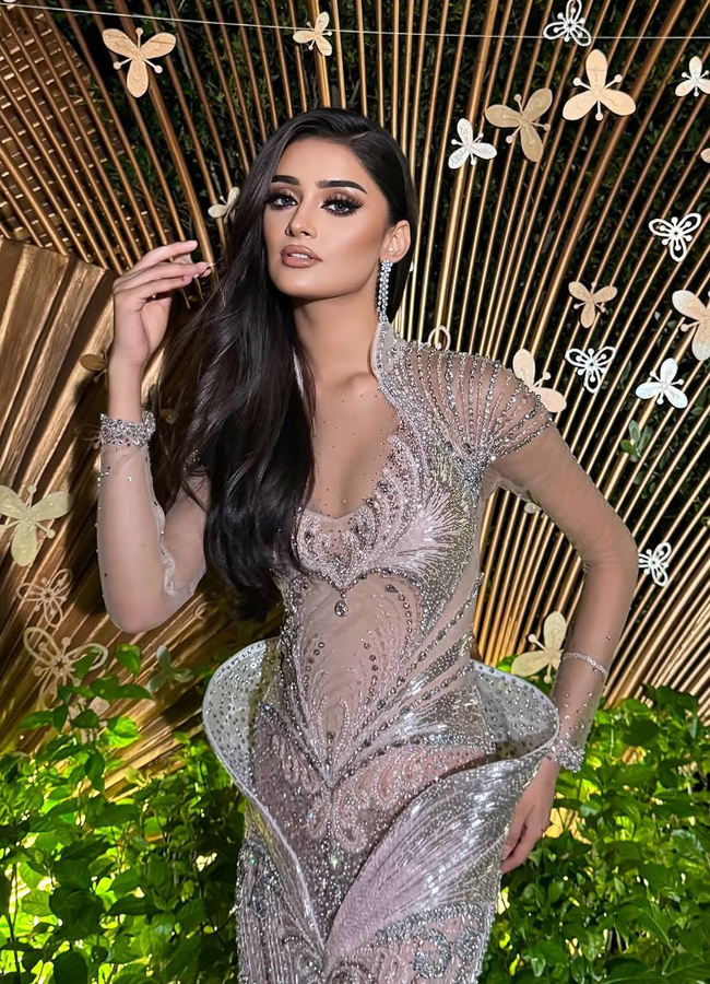 Miss Universe 2025: Manika Vishwakarma In A Sheer Gown5