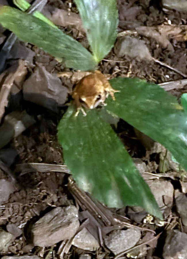 'Varanasi' movie beauty Priyanka Chopra Goa trip (Photos)15