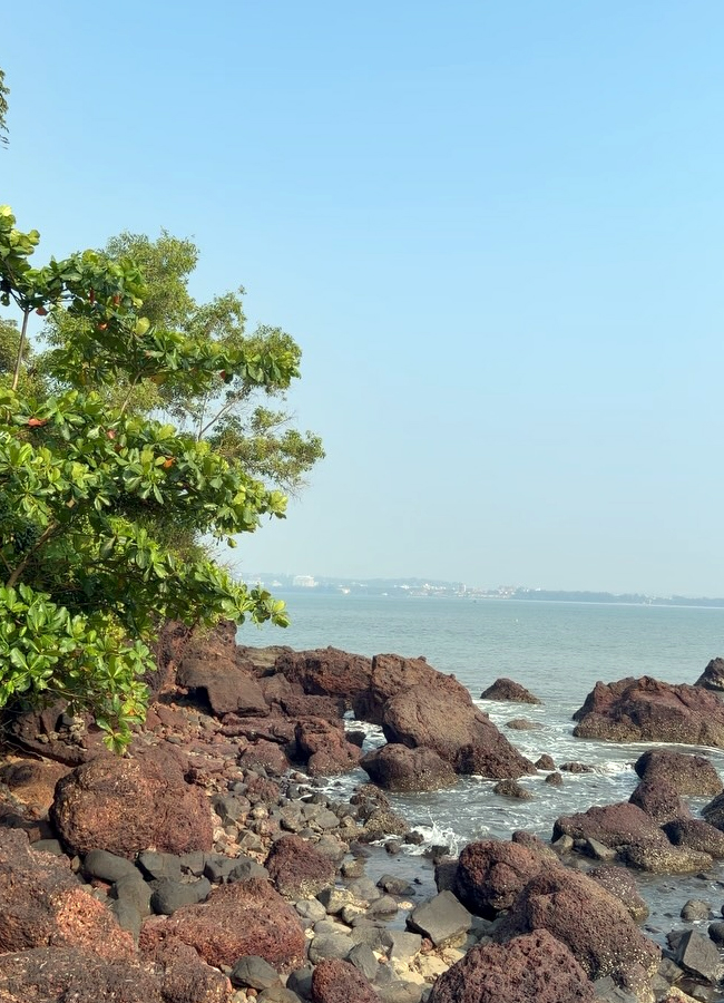 'Varanasi' movie beauty Priyanka Chopra Goa trip (Photos)9