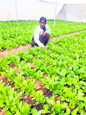 మహిళా శక్తికి మారుపేరు ధీశాలి1