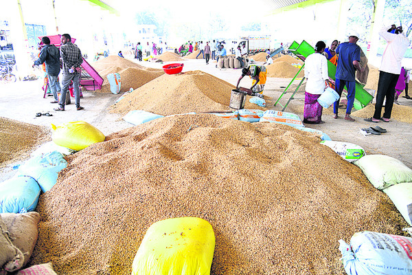 సోయా.. మాయ2