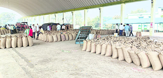 సోయా.. మాయ1