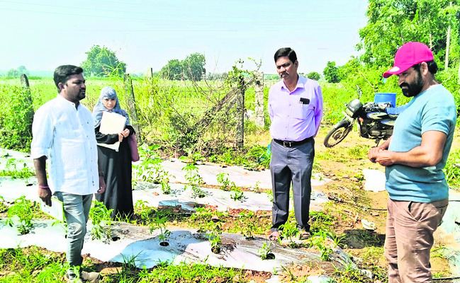 అండర్‌–19  క్రికెట్‌ జట్లు సిద్ధం2