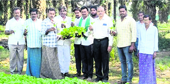 పొగాకు బోర్డు అధికారుల క్షేత్ర పర్యటన 1