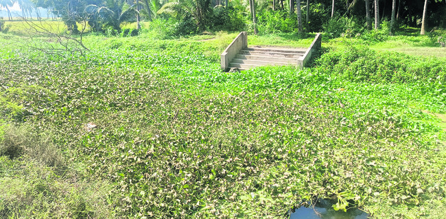 కాలుష్య కాసారం 1